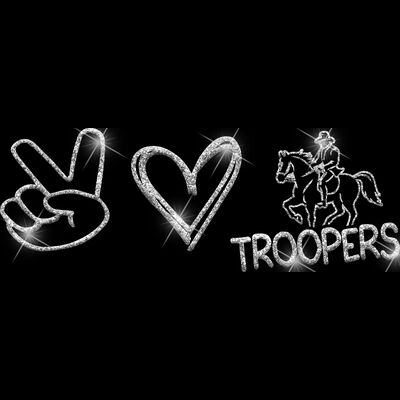 GLT86 SILVER GLITTER Thumbnail